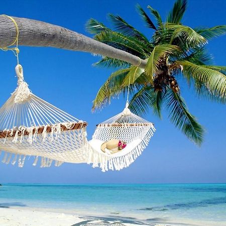 Affordable Two Bedroom Tropical Condo - Private Beach, Pools, Hot Tub St. Petersburg Exteriör bild