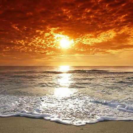 Affordable Two Bedroom Tropical Condo - Private Beach, Pools, Hot Tub St. Petersburg Exteriör bild