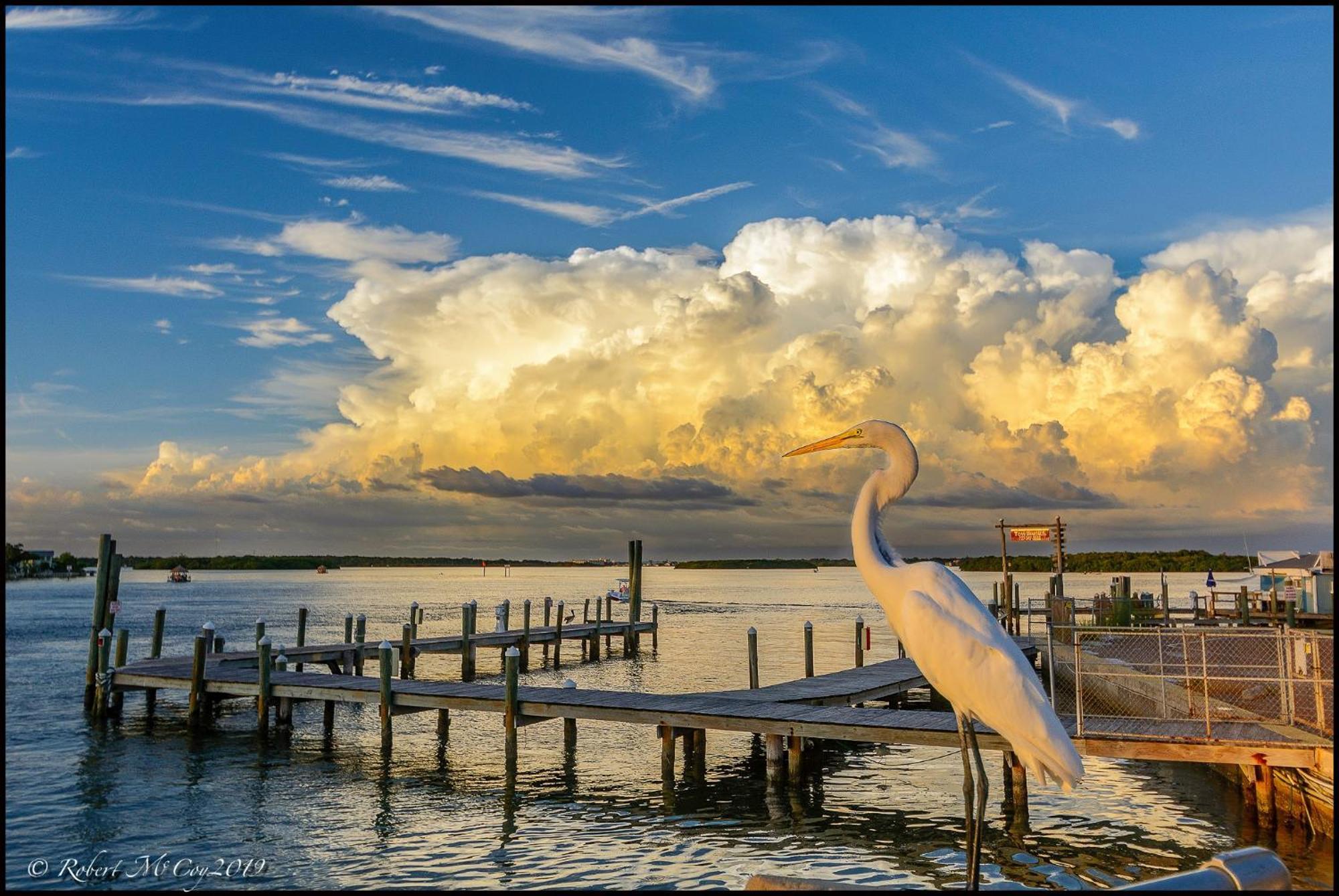 Affordable Two Bedroom Tropical Condo - Private Beach, Pools, Hot Tub St. Petersburg Exteriör bild