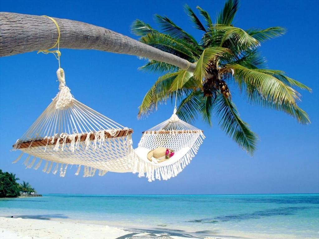 Affordable Two Bedroom Tropical Condo - Private Beach, Pools, Hot Tub St. Petersburg Exteriör bild