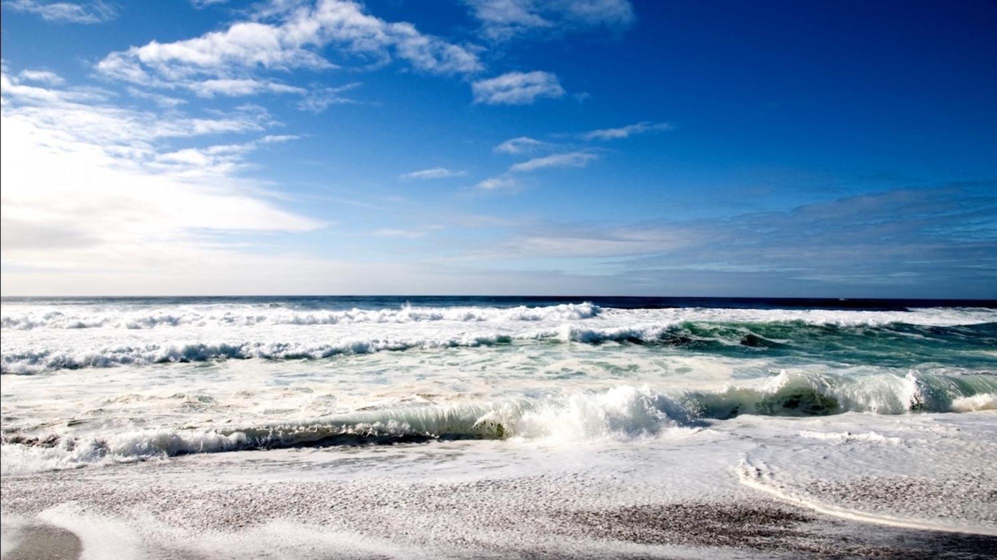 Affordable Two Bedroom Tropical Condo - Private Beach, Pools, Hot Tub St. Petersburg Exteriör bild
