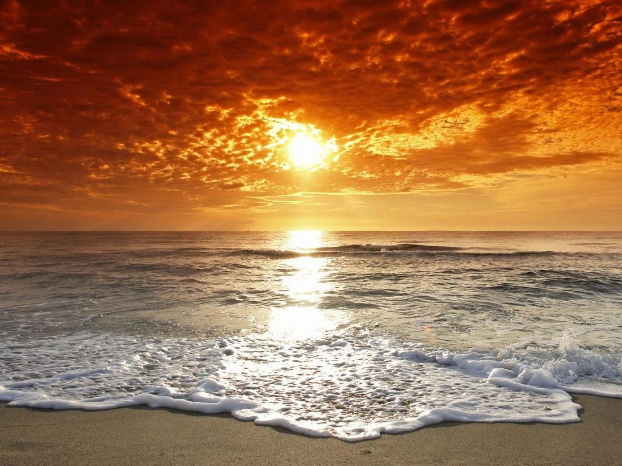Affordable Two Bedroom Tropical Condo - Private Beach, Pools, Hot Tub St. Petersburg Exteriör bild