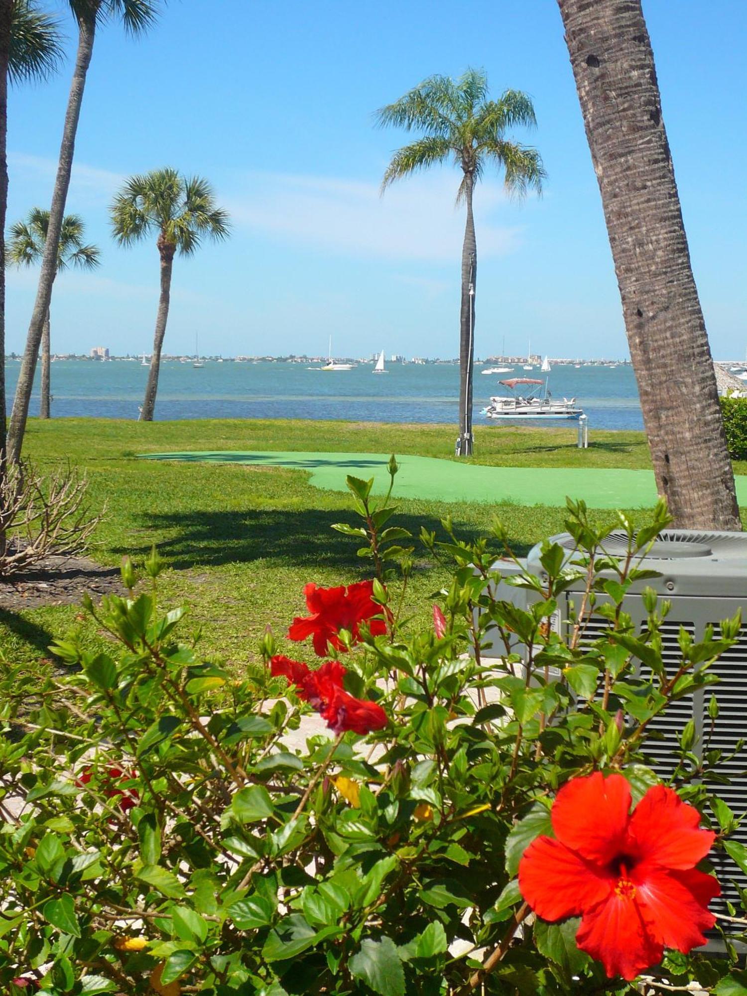 Affordable Two Bedroom Tropical Condo - Private Beach, Pools, Hot Tub St. Petersburg Exteriör bild