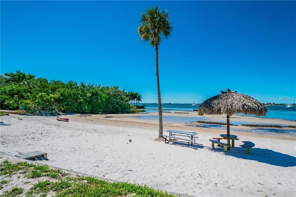Affordable Two Bedroom Tropical Condo - Private Beach, Pools, Hot Tub St. Petersburg Exteriör bild