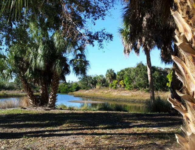 Affordable Two Bedroom Tropical Condo - Private Beach, Pools, Hot Tub St. Petersburg Exteriör bild