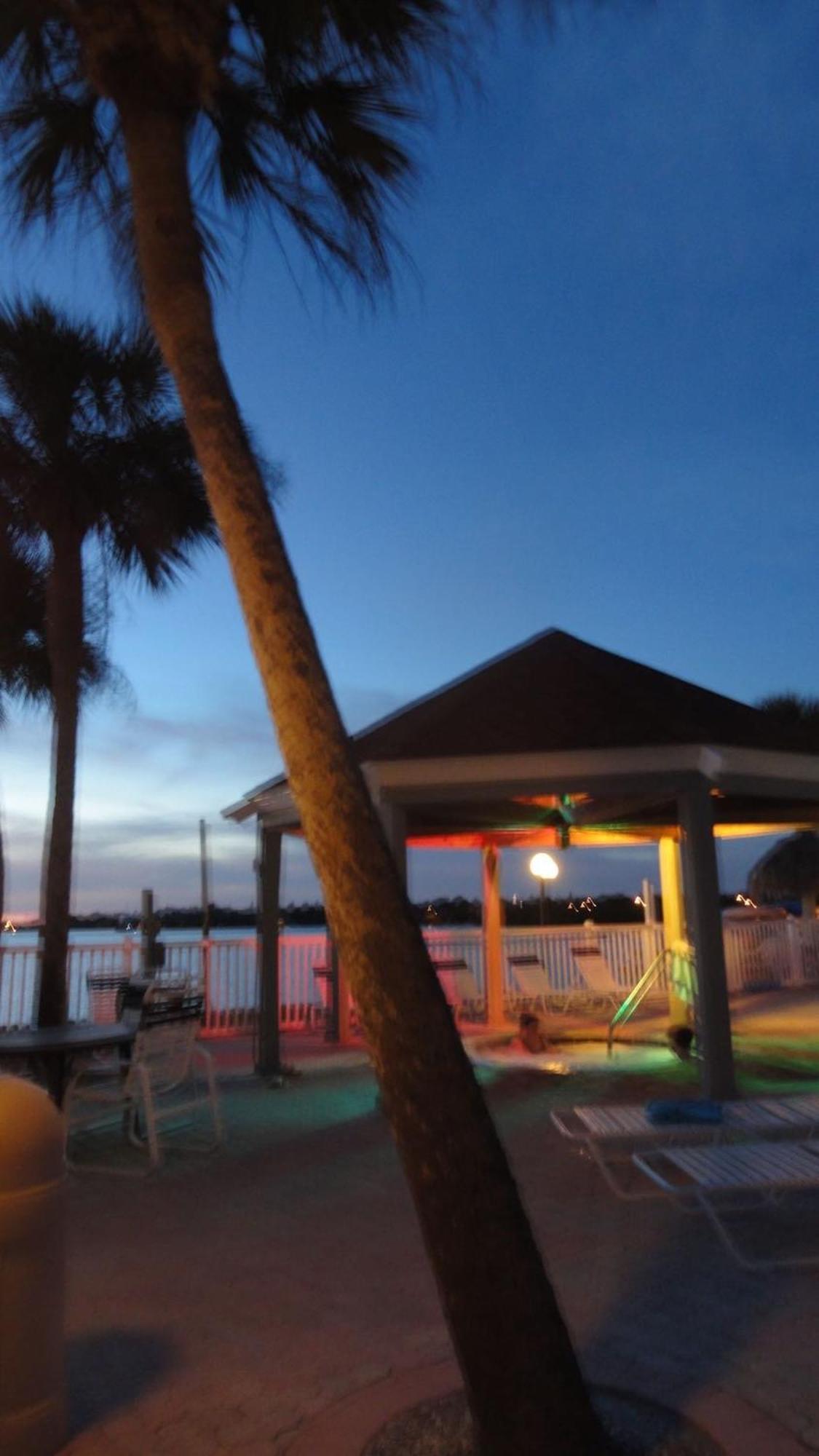 Affordable Two Bedroom Tropical Condo - Private Beach, Pools, Hot Tub St. Petersburg Exteriör bild