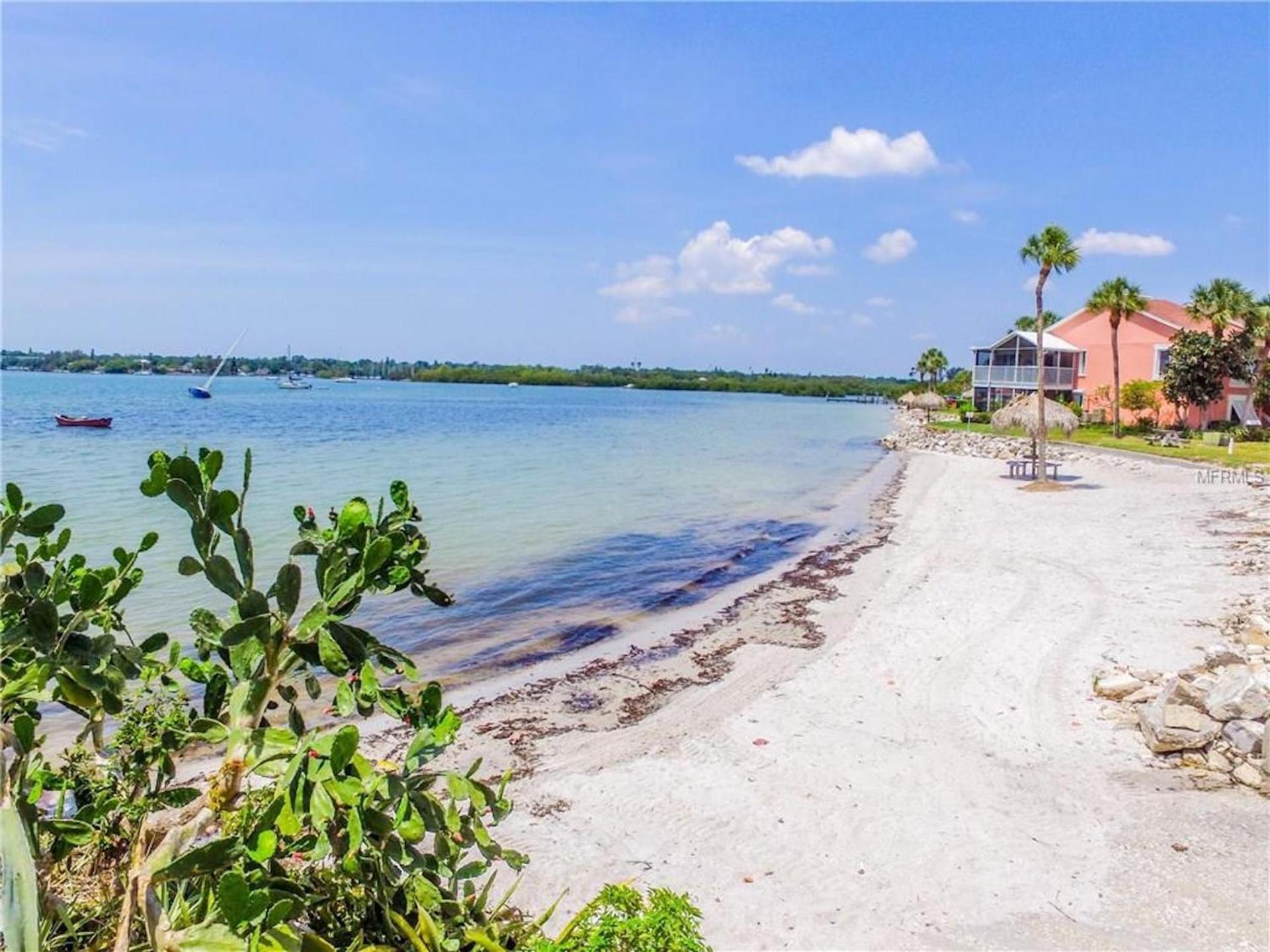 Affordable Two Bedroom Tropical Condo - Private Beach, Pools, Hot Tub St. Petersburg Exteriör bild