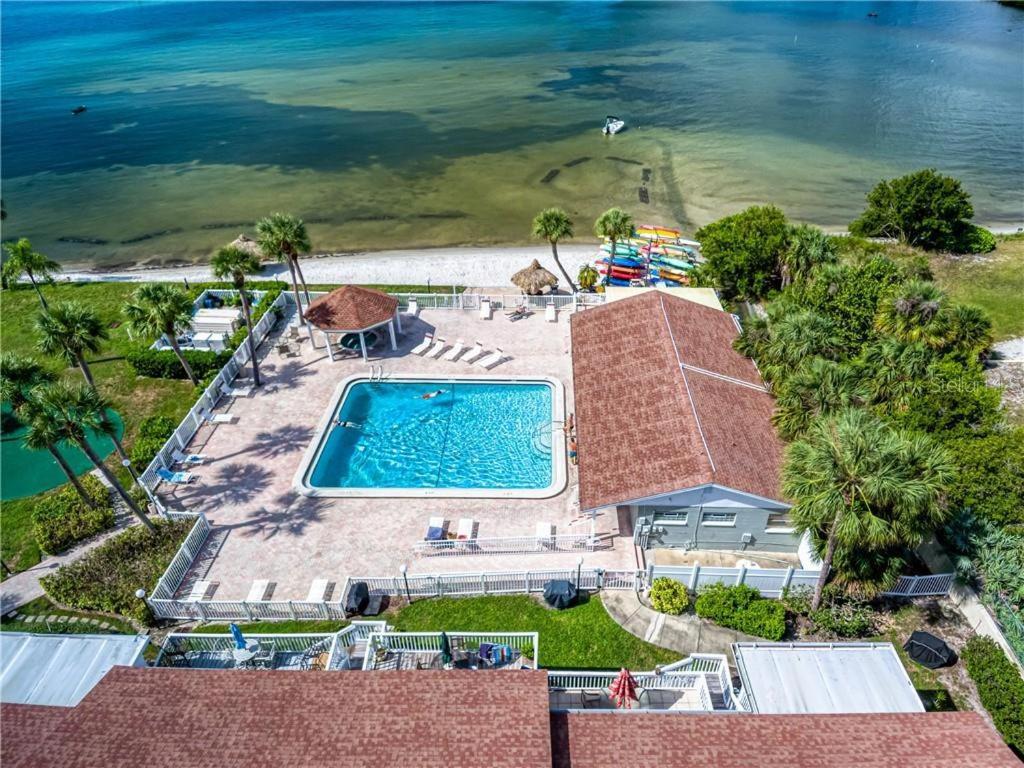 Affordable Two Bedroom Tropical Condo - Private Beach, Pools, Hot Tub St. Petersburg Exteriör bild
