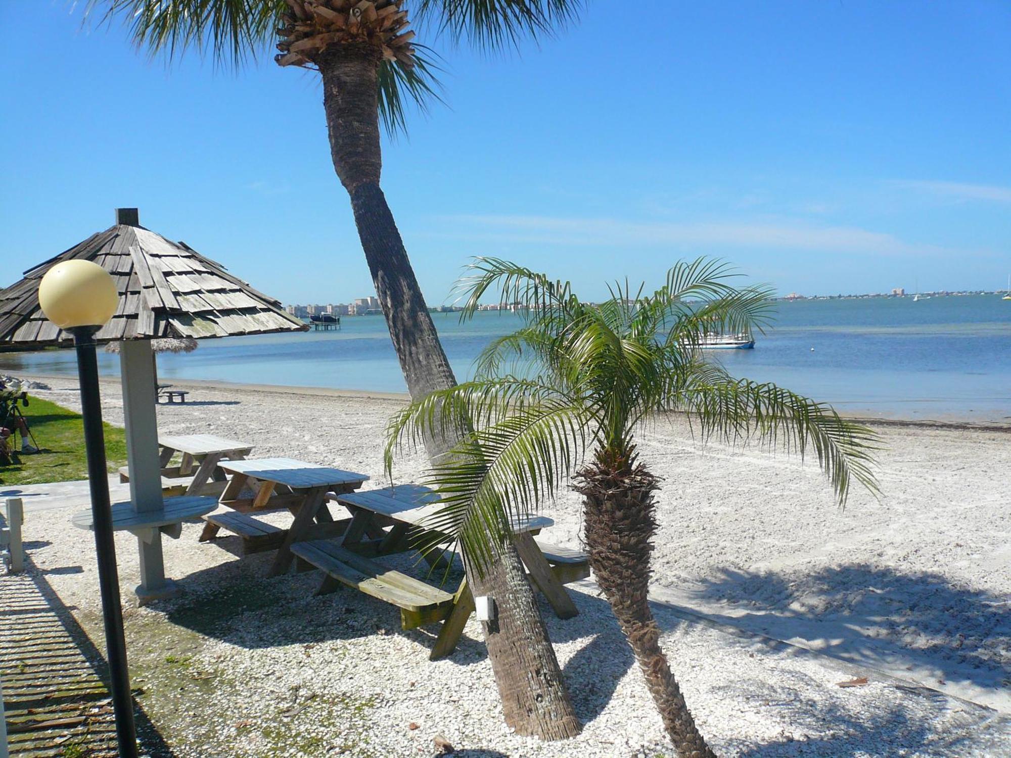 Affordable Two Bedroom Tropical Condo - Private Beach, Pools, Hot Tub St. Petersburg Exteriör bild