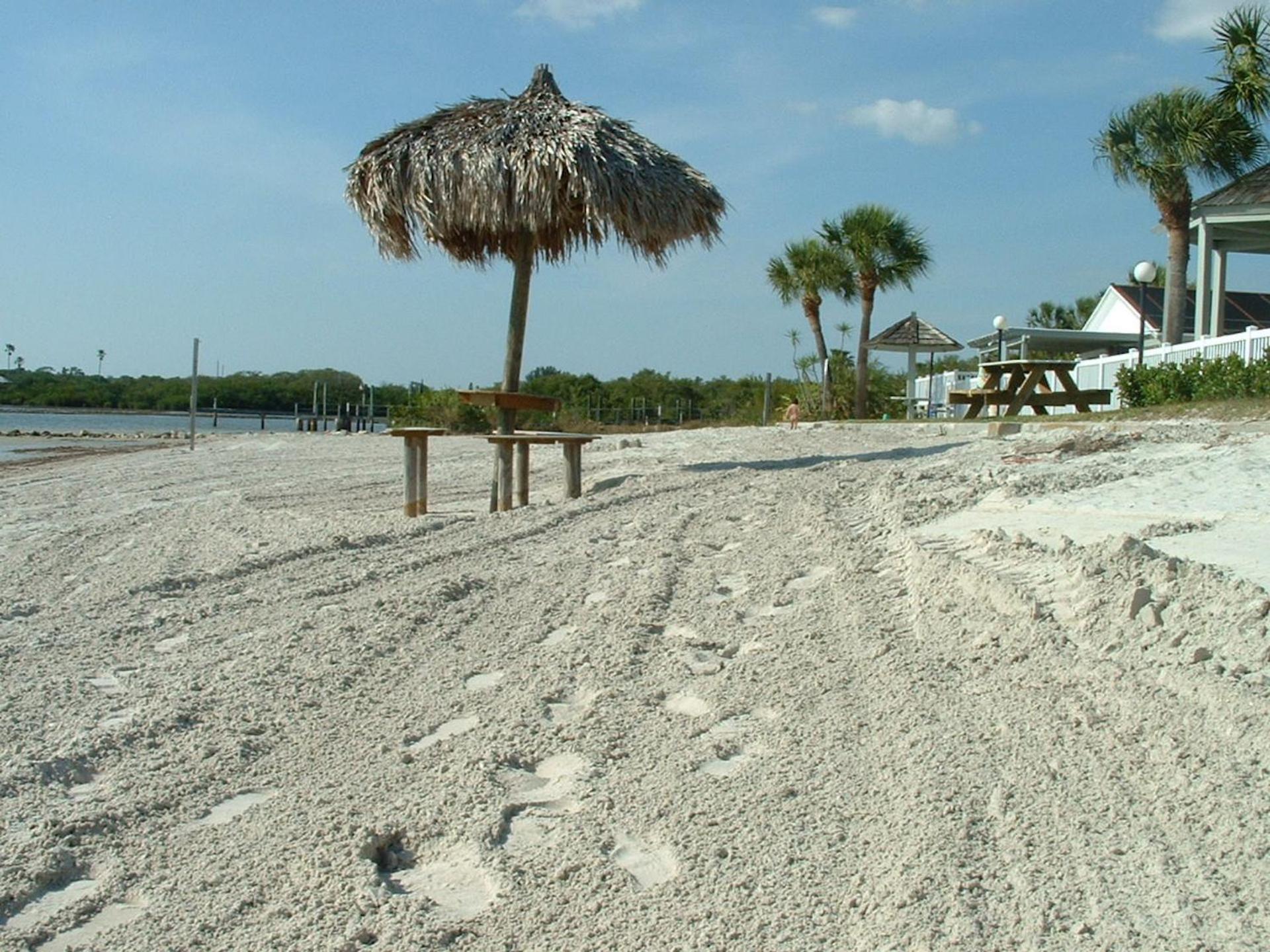 Affordable Two Bedroom Tropical Condo - Private Beach, Pools, Hot Tub St. Petersburg Exteriör bild