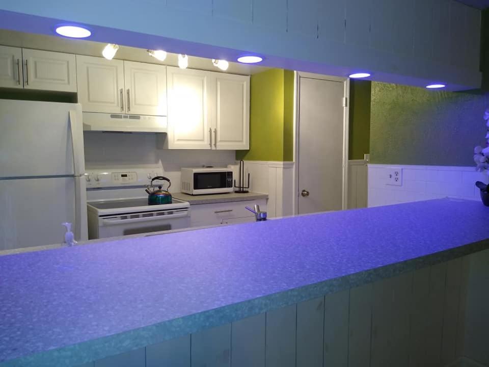 Affordable Two Bedroom Tropical Condo - Private Beach, Pools, Hot Tub St. Petersburg Exteriör bild