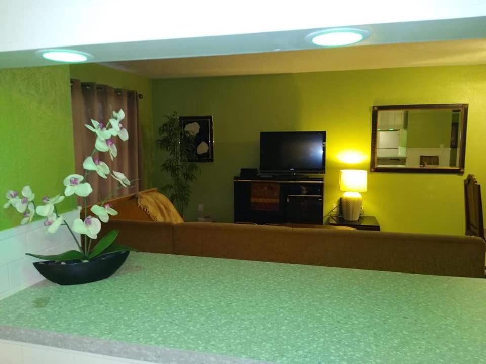 Affordable Two Bedroom Tropical Condo - Private Beach, Pools, Hot Tub St. Petersburg Exteriör bild